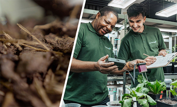 © SuperBark, AgroBioGel Rindenmulch, zwei Männer mit Messgeräten bei Pflanzentöpfen