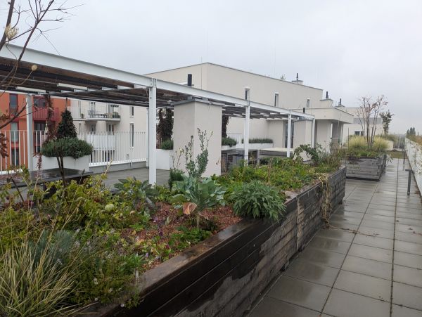 Gemeinschaftsgärten auf der Dachterrasse