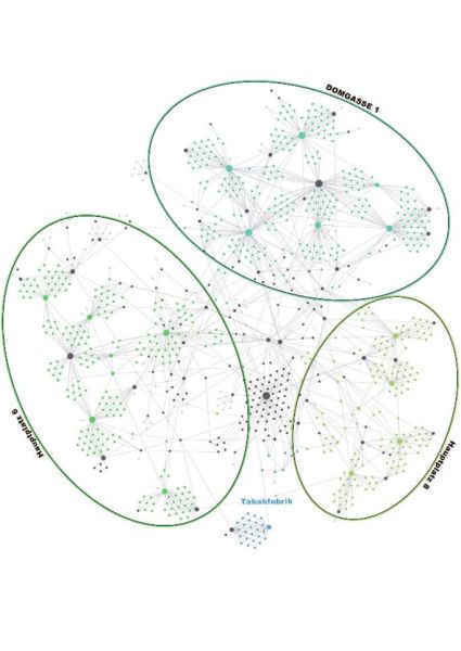 Netzwerkdiagramm mit vier Clustern: Domgasse 1, Hauptplatz 6, Hauptplatz 8 und Tabakfabrik. Knotenpunkte sind durch Linien verbunden und bilden dichte Beziehungsnetzwerke.