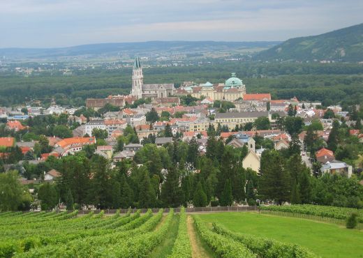 Blick von einem Weingarten oberhalb auf Stadtzentrum und das Stift