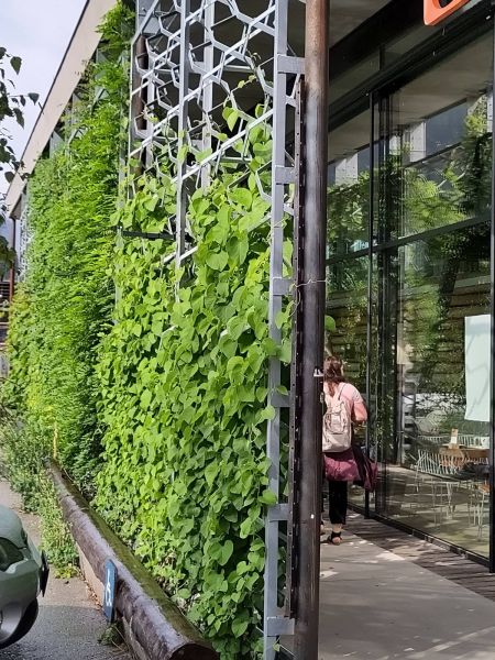 Supermarktfiliale von außen mit begrünten Kästen und Gerüsten